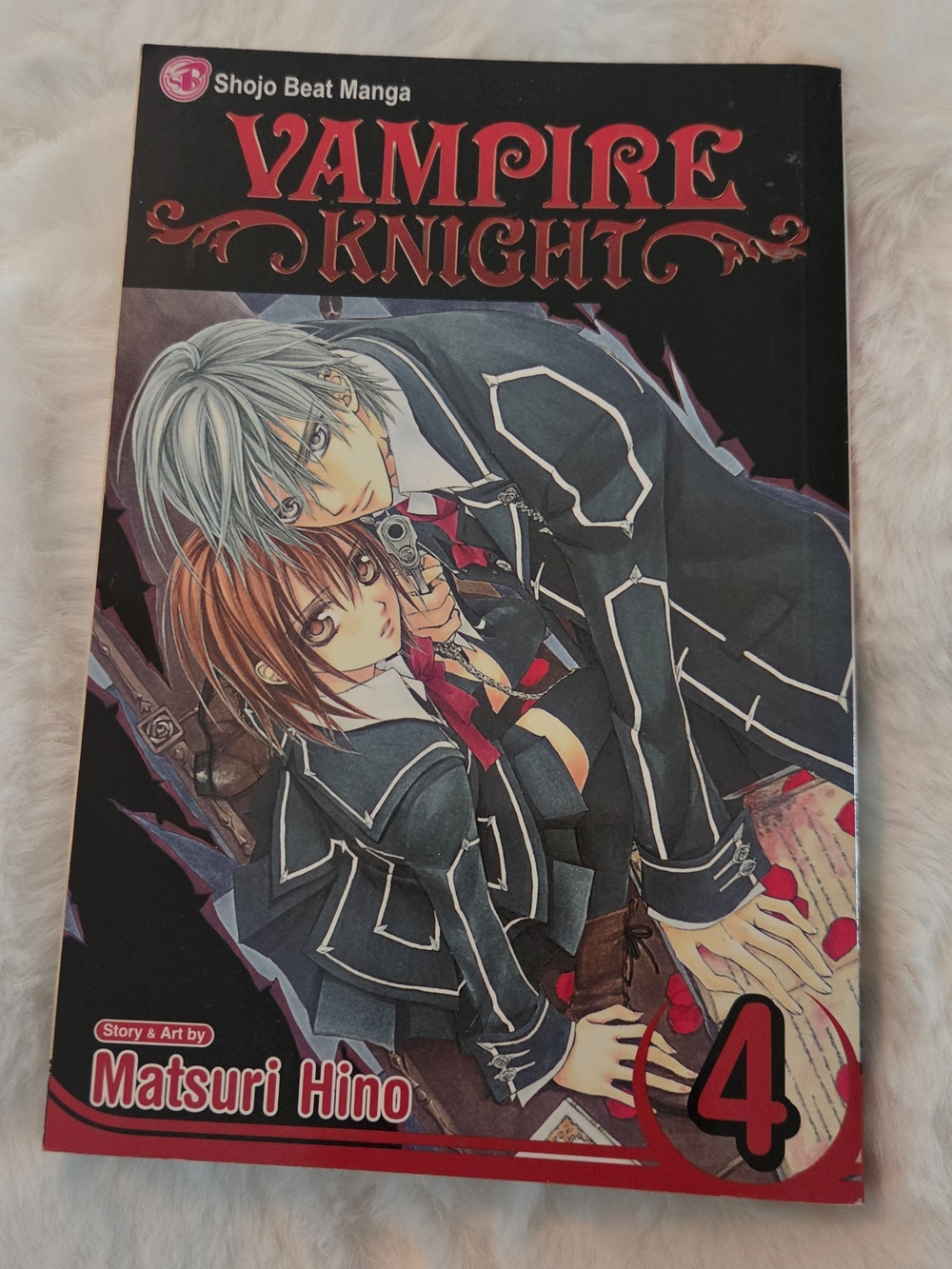 Vampire Knight Vol 4